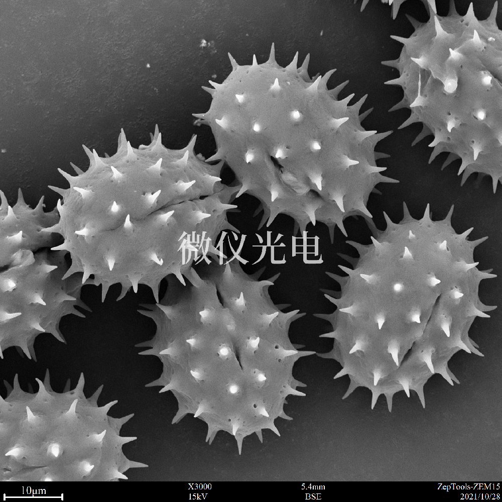 sem掃描電鏡的原理、組成、基本參數(shù)和應(yīng)用的介紹